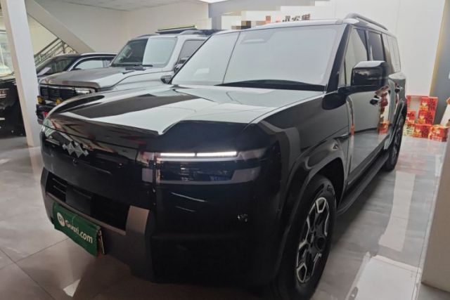 Used Formula Leopard Tai 7 2025 Model 190 km Four-Wheel Drive Max Edition