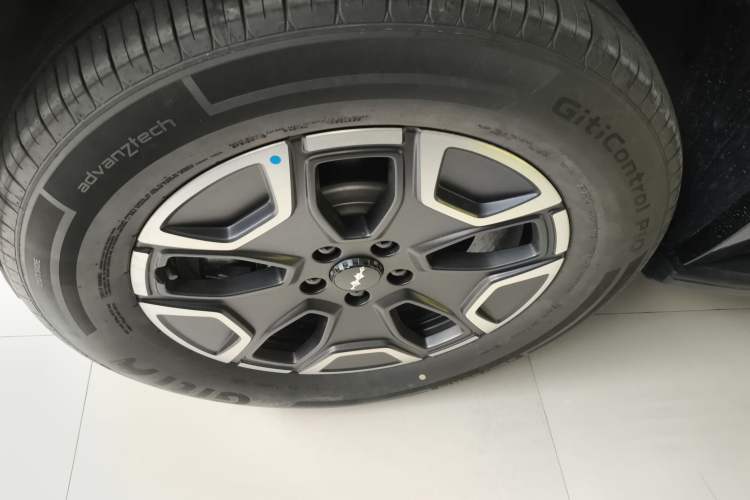 Used Formula Leopard Tai 7 2025 Model 200 km Two-Wheel Drive Max Edition Exterior 4