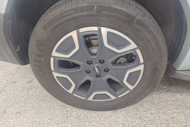 Used Formula Leopard Tai 7 2025 Model 200 km Two-Wheel Drive Max Edition Exterior 2