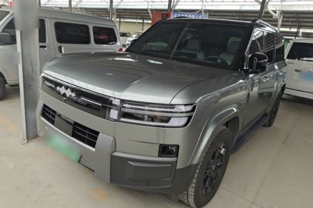 Used Formula Leopard Tai 7 2025 Model 190 km Four-Wheel Drive Max Edition