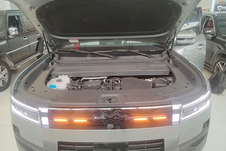 Used Formula Leopard Tai 7 2025 Model 190 km Four-Wheel Drive Ultra Edition Engine Bay
