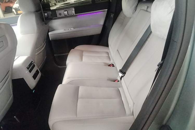 Used Formula Leopard Tai 7 2025 Model 190 km Four-Wheel Drive Ultra Edition Left Rear Seat