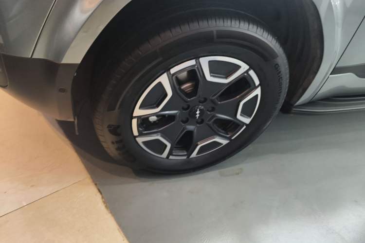 Used Formula Leopard Tai 7 2025 Model 200 km Two-Wheel Drive Max Edition Exterior 4