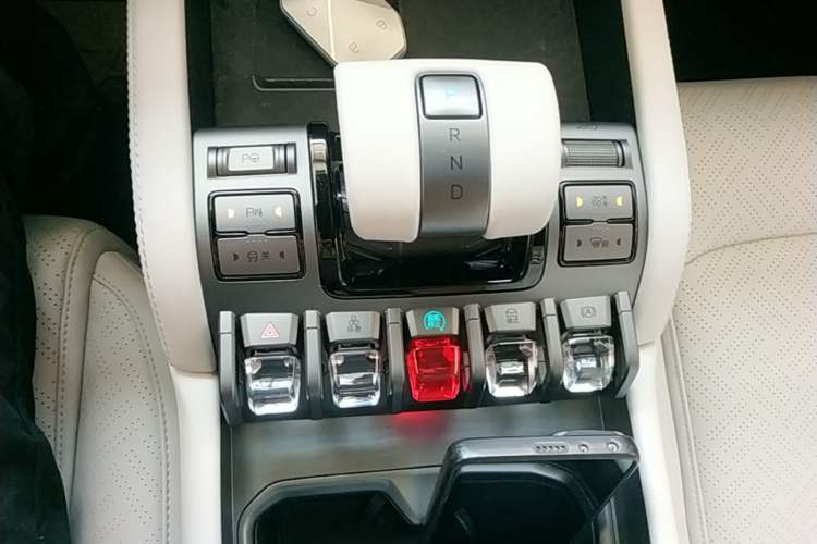 Used Formula Leopard Titanium 3 2025 501 km Range Rear-Wheel Drive Intelligent Driving Max Edition Gear Lever