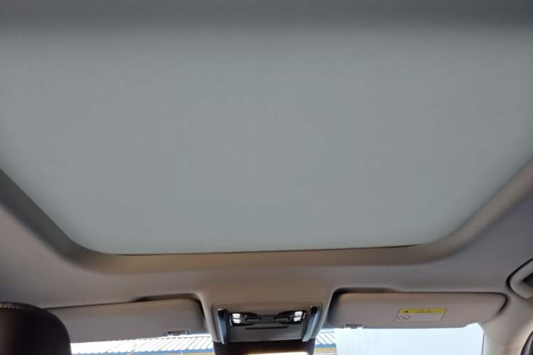 Used Formula Leopard Titanium 3  Headliner