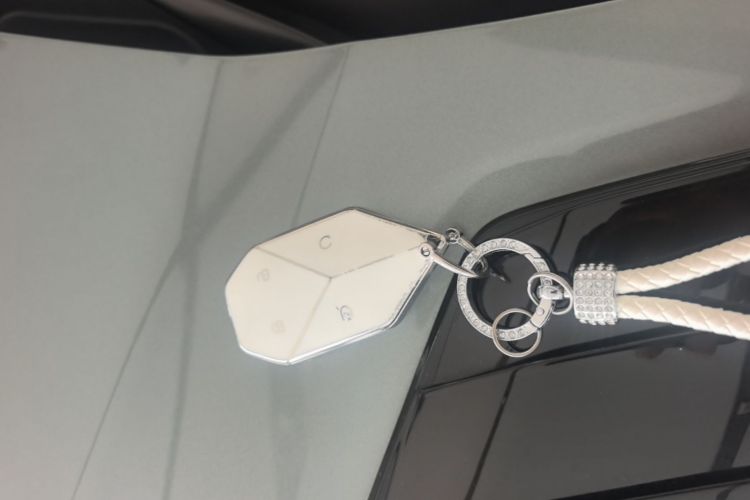Used Formula Leopard Titanium 3 2025 501 km Range Rear-Wheel Drive Intelligent Driving Max Edition Vehicle Key