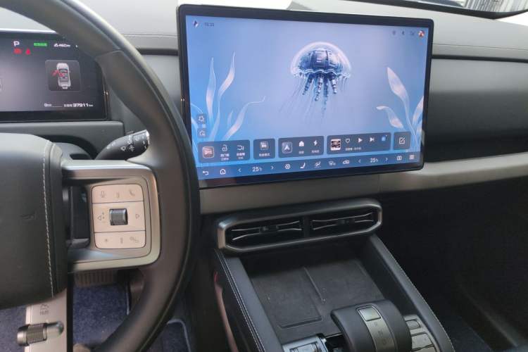 Used Formula Leopard Titanium 3 2025 501 km All-Wheel Drive Intelligent Driving Max Edition Audio And AC Panel