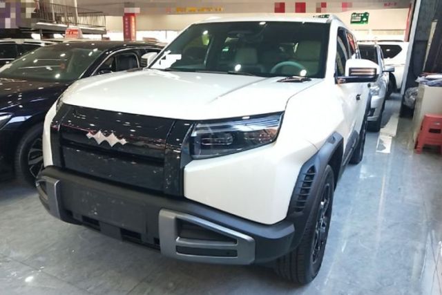 Used Formula Leopard Titanium 3 2025 501 km Range Rear-Wheel Drive Intelligent Driving Max Edition