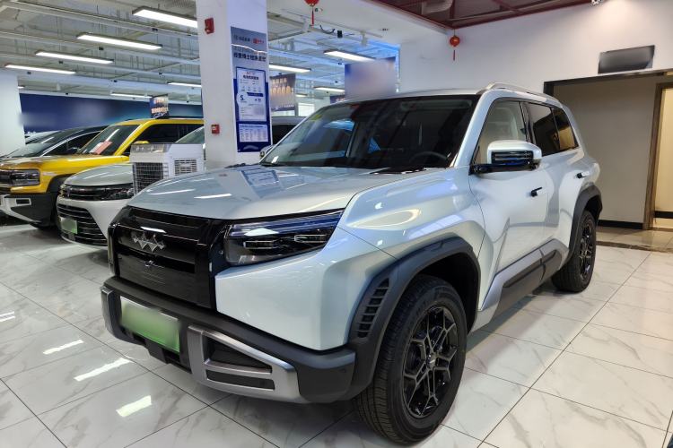 Formula Leopard Titanium 3 2026 620KM rear-wheel-drive flash-charging version