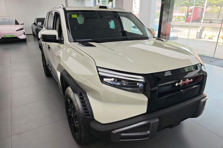 Used Formula Leopard Titanium 3 2026 620KM rear-wheel-drive flash-charging version Front Right 45 Deg