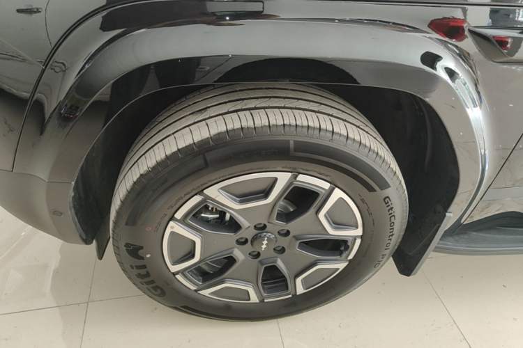 Used Formula Leopard Titanium 7 2025 Model 200 km Two-Wheel Drive Max Edition Exterior 2