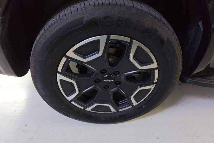 Used Formula Leopard Titanium 7 2025 Model 200 km Two-Wheel Drive Max Edition Exterior 5
