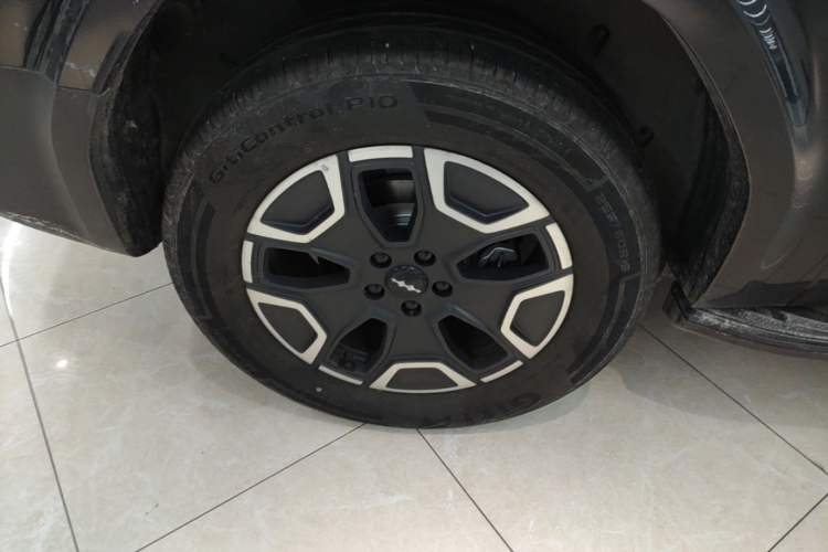 Used Formula Leopard Titanium 7 2025 Model 200 km Two-Wheel Drive Max Edition Exterior 5
