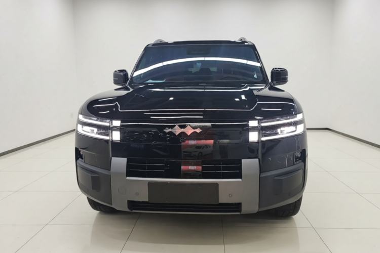 Used Formula Leopard Titanium 7 2025 Model 200 km Two-Wheel Drive Max Edition Front