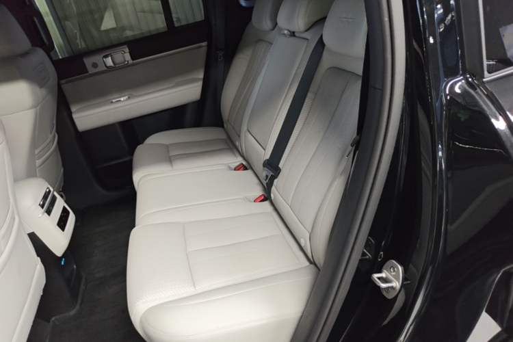 Used Formula Leopard Titanium 7 2025 Model 200 km Two-Wheel Drive Max Edition Left Rear Seat