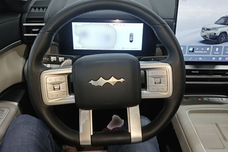Used Formula Leopard Titanium 7 2025 Model 190 km Four-Wheel Drive Ultra Edition Steering Wheel
