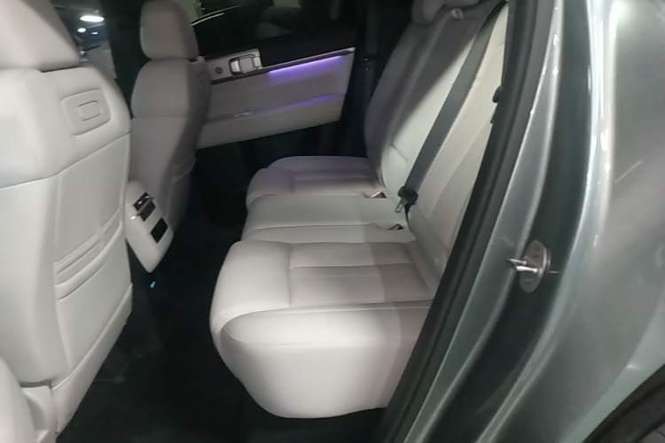 Used Formula Leopard Titanium 7 2025 Model 200 km Two-Wheel Drive Max Edition Left Rear Seat