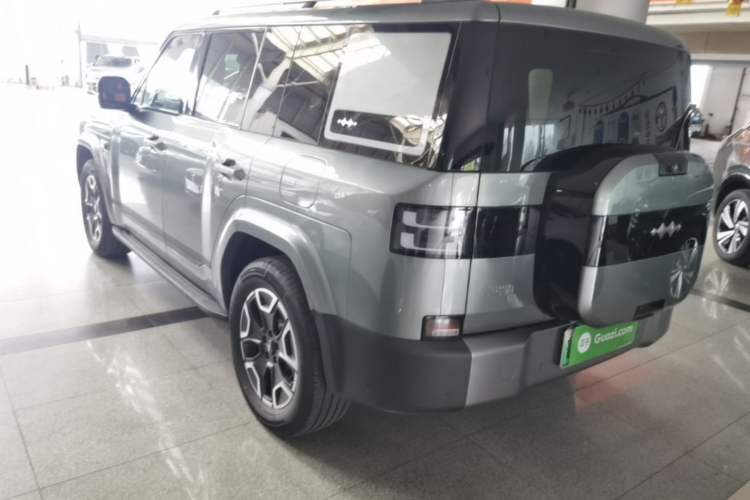 Used Formula Leopard Titanium 7 2025 Model 200 km Two-Wheel Drive Max Edition Rear Left 45 Deg