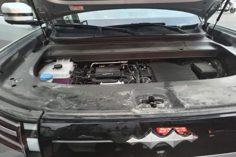 Used Formula Leopard Titanium 7 2025 Model 200 km Two-Wheel Drive Max Edition Engine Bay