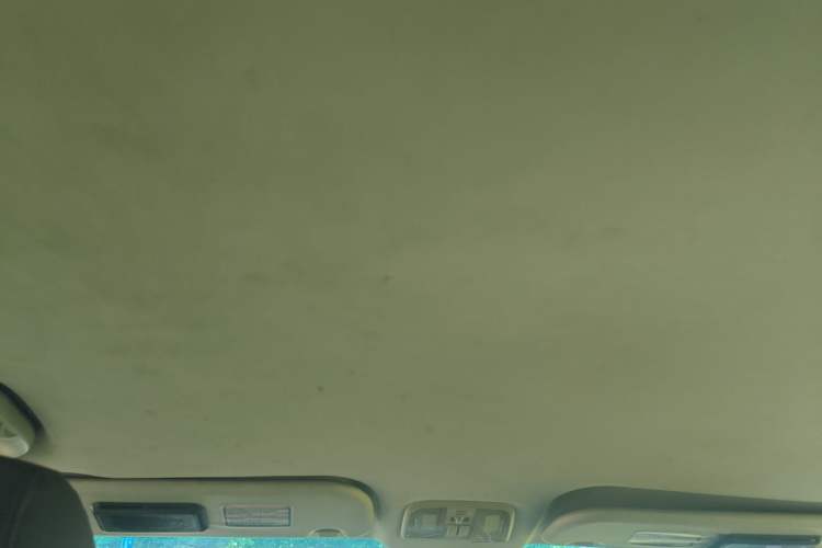 Used FORTHING CM7 2014 2.4L Manual Business Model Headliner