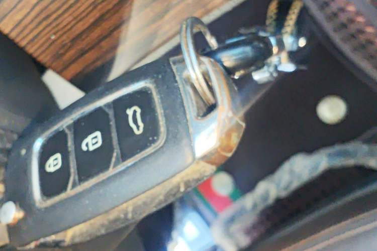 Used FORTHING CM7 2018 Classic Edition 2.0T Manual Luxury Model Vehicle Key