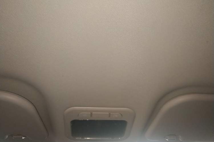Used FORTHING F600 2018 F600L 2.0L Comfort Model Headliner