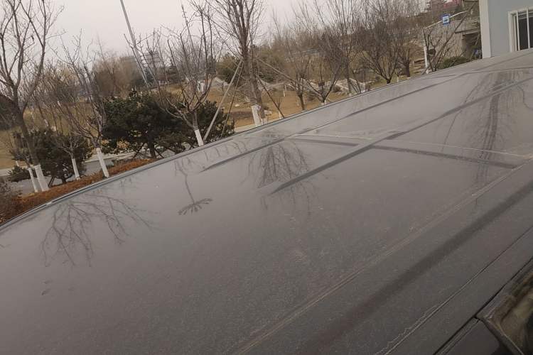Used FORTHING F600 2018 F600L 2.0L Comfort Model Roof
