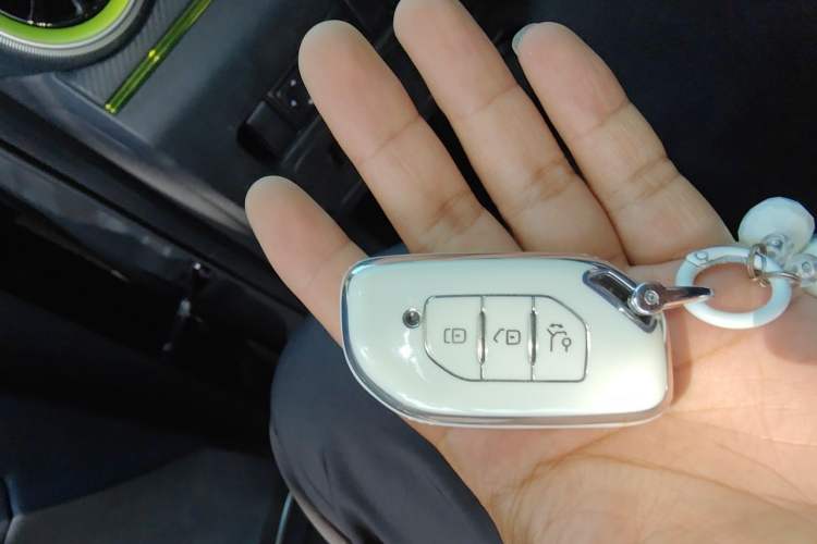 Used FORTHING Friday 2023 430 Elite Vehicle Key