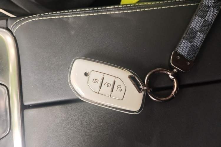 Used FORTHING Friday 2023 430 Elite Vehicle Key