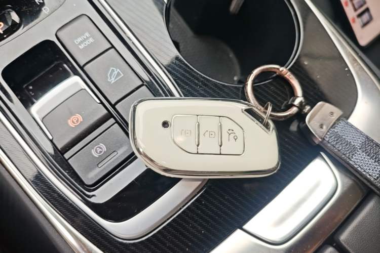 Used FORTHING Friday 2023 430 Elite Vehicle Key