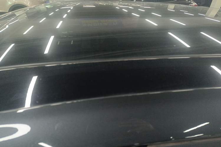 Used FORTHING Friday 2024 410 Performance Edition Roof