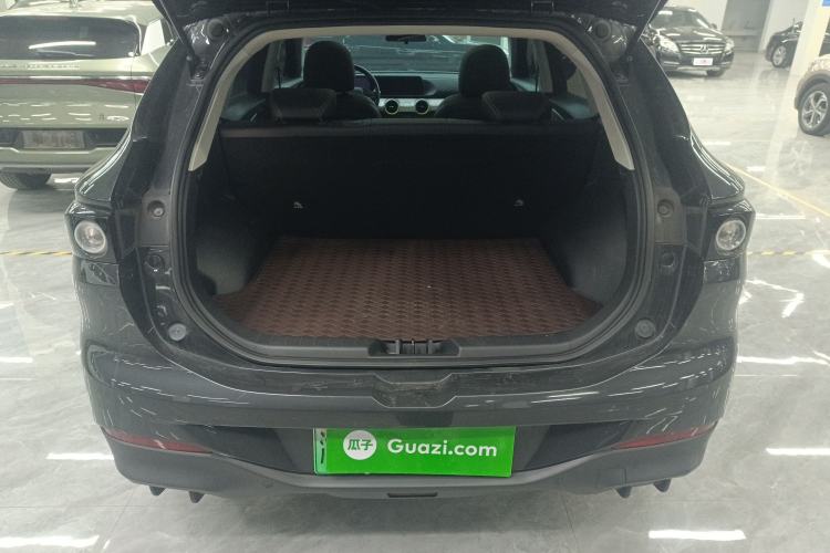 Used FORTHING Friday 2024 410 Performance Edition Trunk