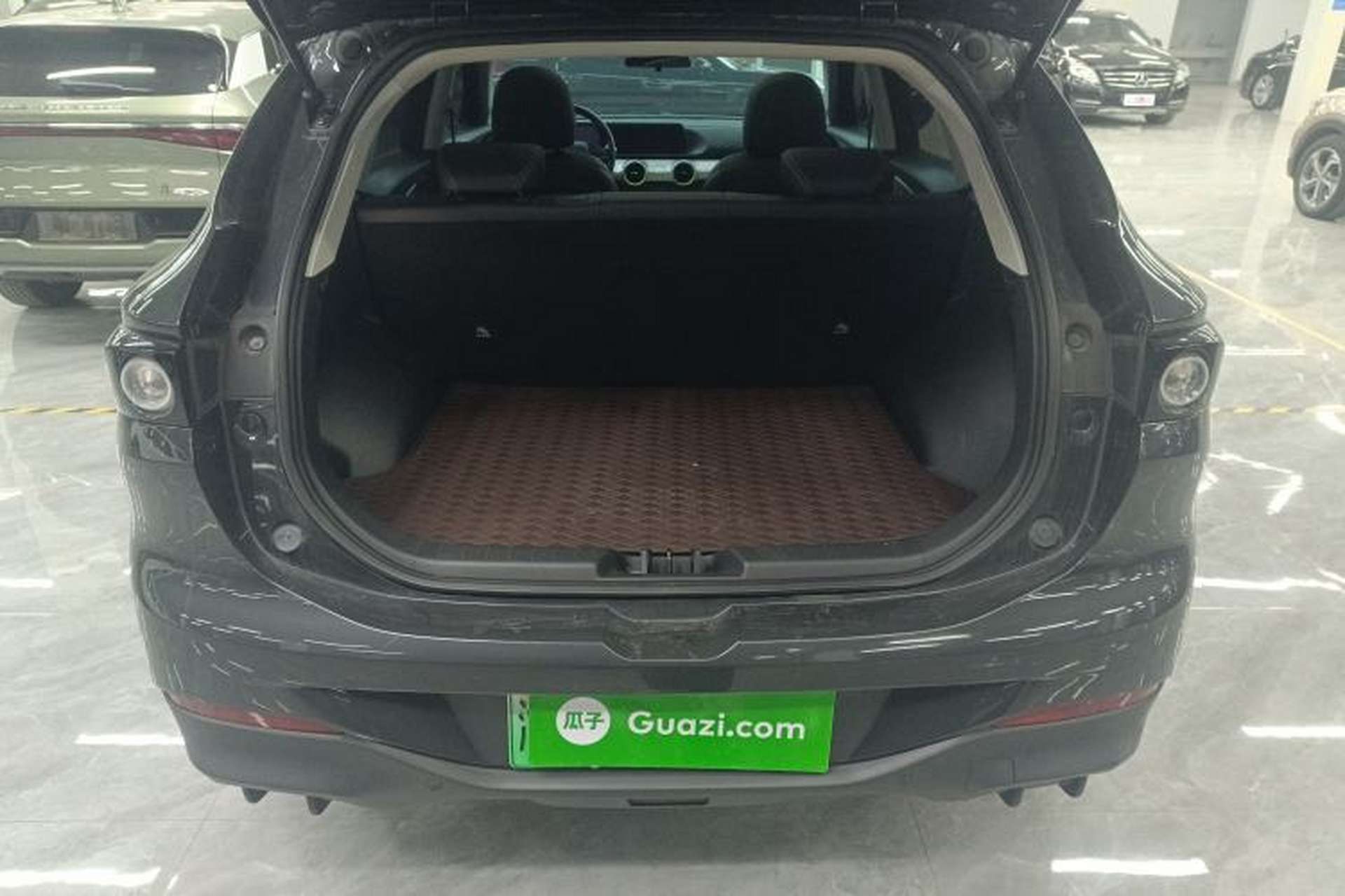 Used FORTHING Friday 2024 410 Performance Edition Trunk