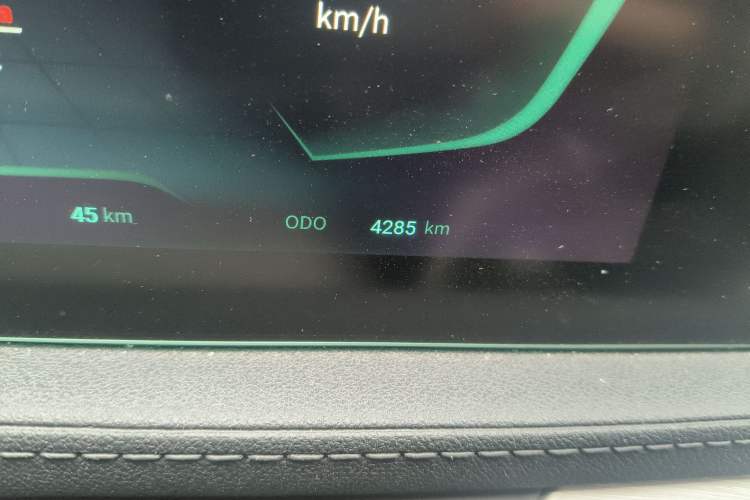Used FORTHING Friday 2024 410 Performance Edition Odometer Close Up