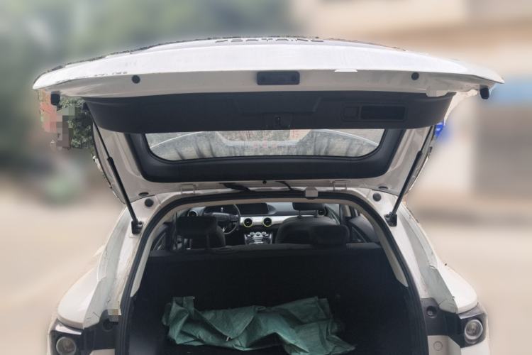 Used FORTHING Friday 2024 410 Performance Edition Trunk