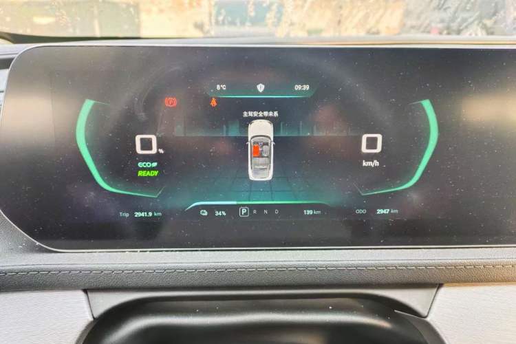 Used FORTHING Friday 2024 410+ Odometer Close Up
