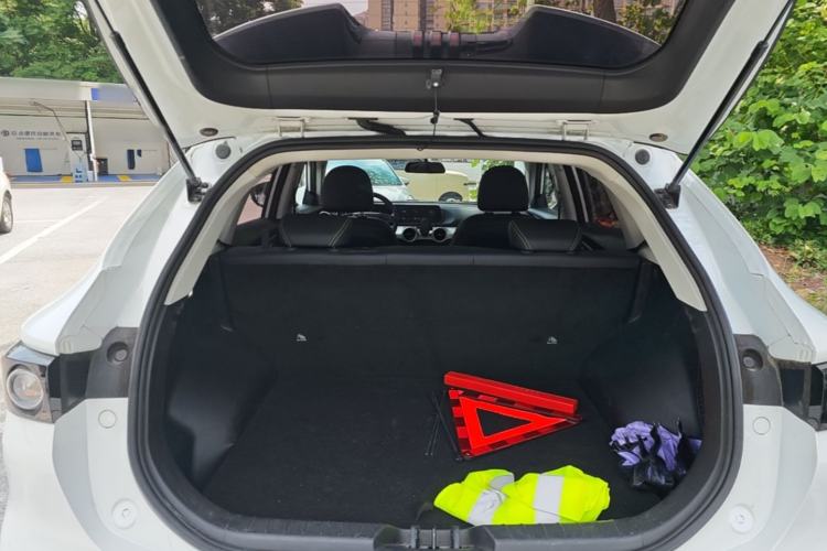 Used FORTHING Friday 2024 410 Performance Edition Trunk