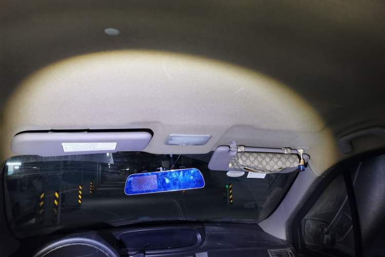 Used FORTHING Joyear 2011 1.5L AMT Luxury Edition Headliner
