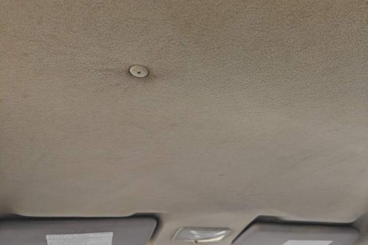 Used FORTHING Joyear 2011 LV 1.5L Manual Luxury Model Headliner