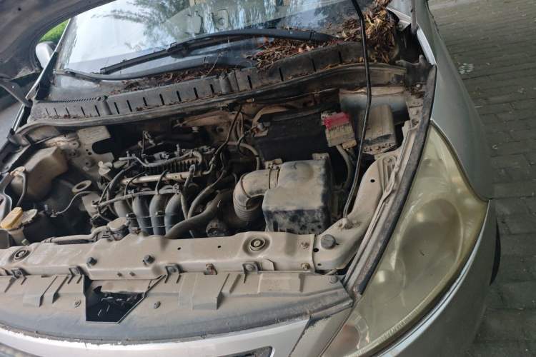 Used FORTHING Joyear 2011 1.5L Manual Standard Edition Engine Bay Left