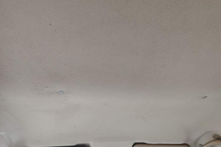 Used FORTHING Joyear 2011 1.5L Manual Standard Edition Headliner