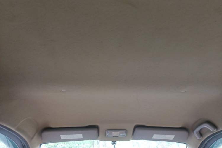 Used FORTHING Joyear 2011 1.5L Manual Luxury Edition Headliner