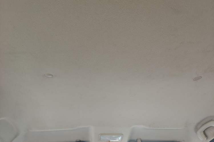Used FORTHING Joyear 2012 XL 1.5L Manual Comfort Model Headliner