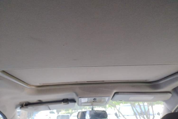 Used FORTHING Joyear X3 2014 1.5L Deluxe Edition Headliner
