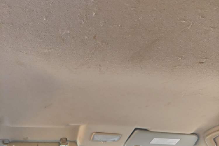 Used FORTHING Joyear X3 2014 1.5L Luxury Model Headliner