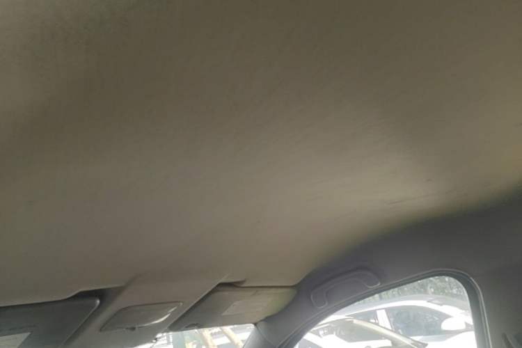 Used FORTHING Joyear X3 2014 1.5L Luxury Model Headliner