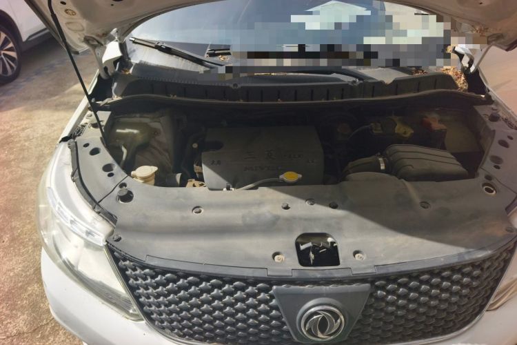Used FORTHING Joyear X3 2014 1.5L Luxury Model Engine Bay Right