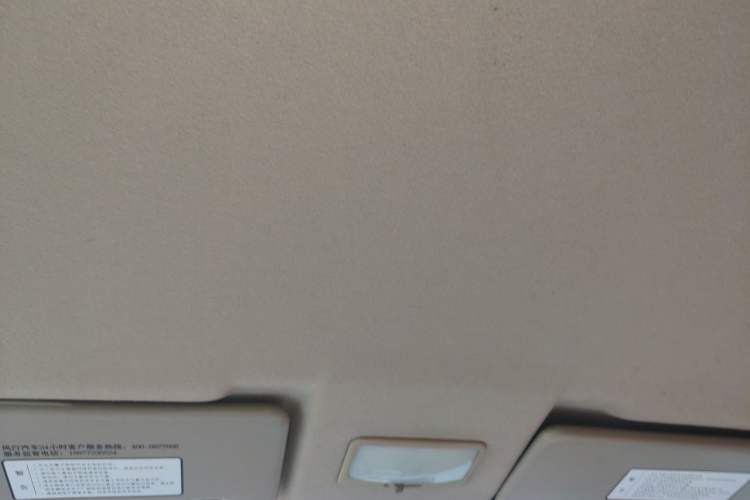 Used FORTHING Joyear X3 2014 1.5L Luxury Model Headliner