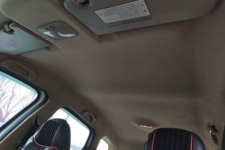 Used FORTHING Joyear X3 2014 1.5L Luxury Model Headliner