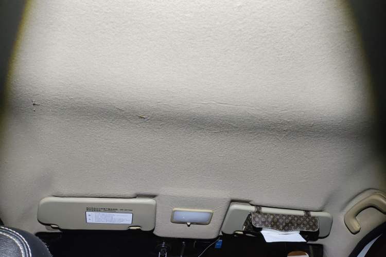 Used FORTHING Joyear X3 2014 1.5L Luxury Model Headliner